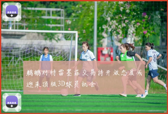 鹈鹕对特雷墨菲交易持开放态度或迎来顶级3D球员机会
