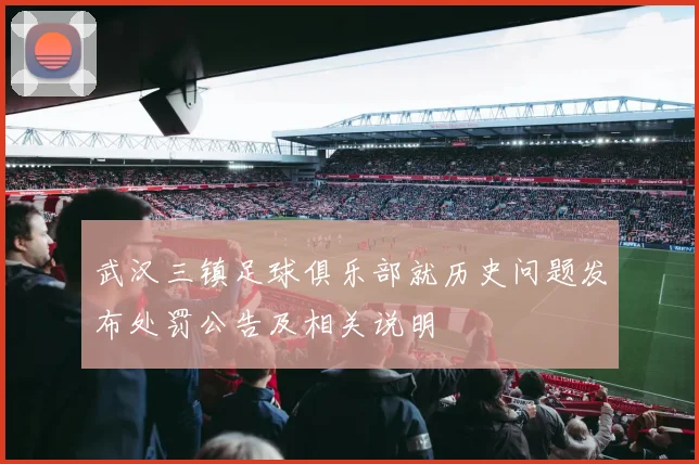 武汉三镇足球俱乐部就历史问题发布处罚公告及相关说明