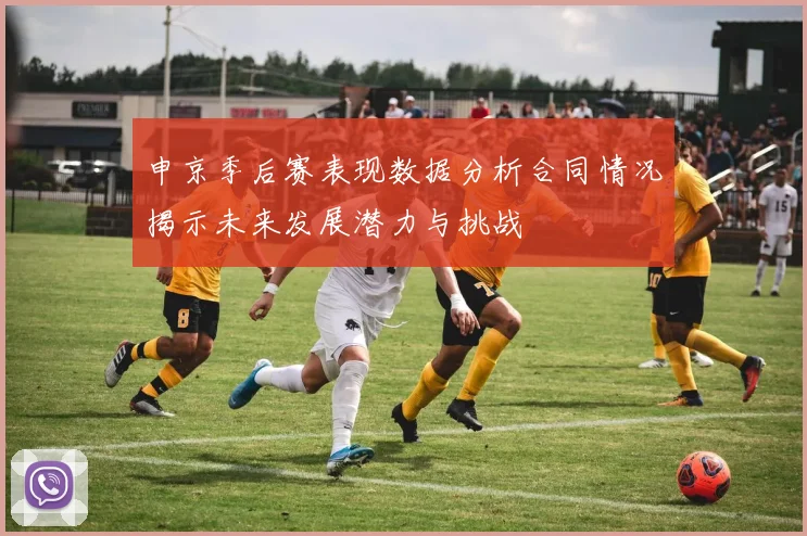 申京季后赛表现数据分析合同情况揭示未来发展潜力与挑战